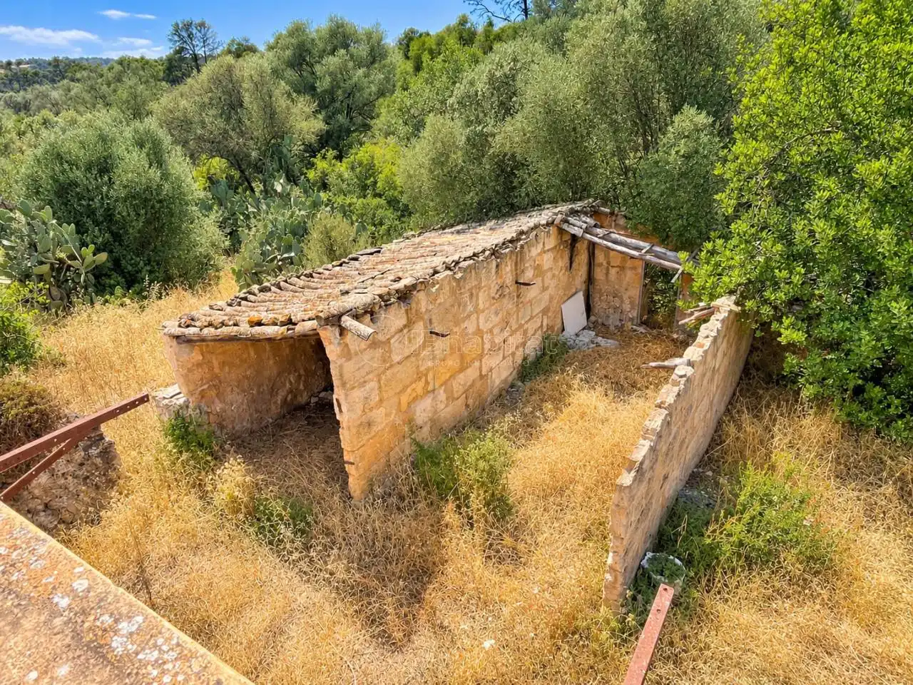 Terreny rústic en venda a Sineu, imagen 11
