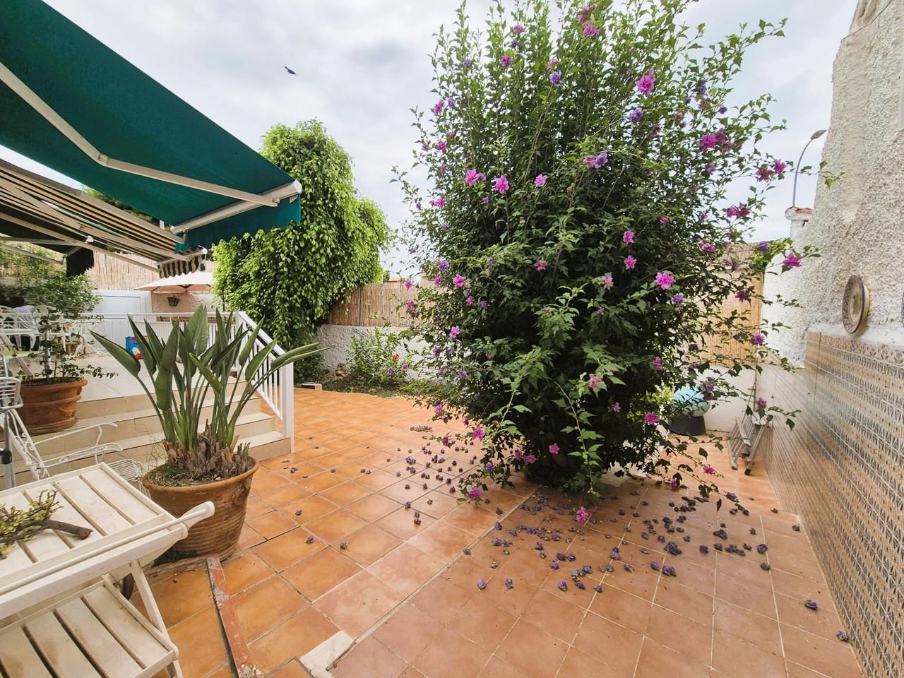 Jardí de Casa o xalet en venda en Alicante / Alacant amb Aire condicionat, Jardí privat i Terrassa