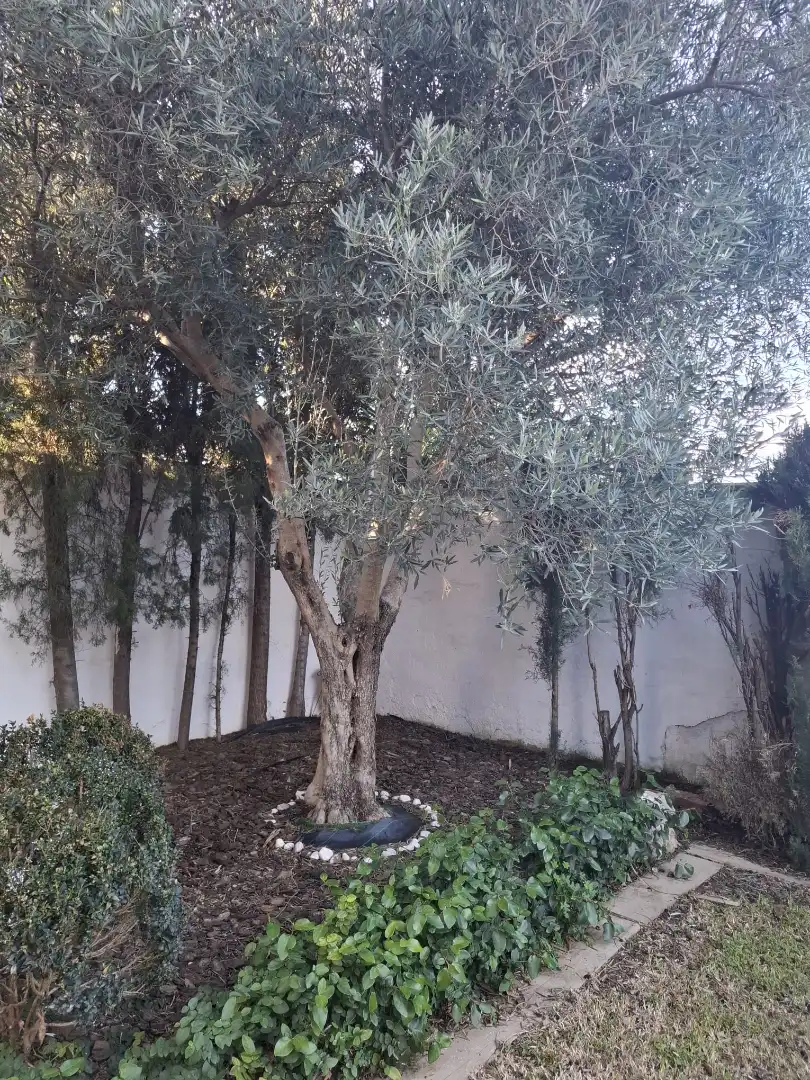 Detached house with pool for sale in Carrer Artemis, imagen 11