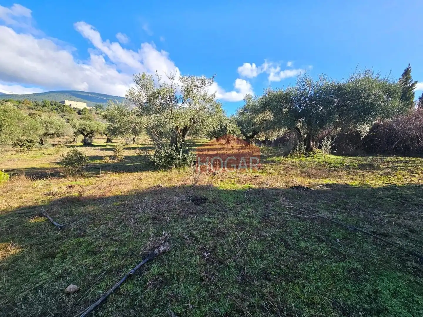 Terreni e lotti in vendita a La Adrada, imagen 21