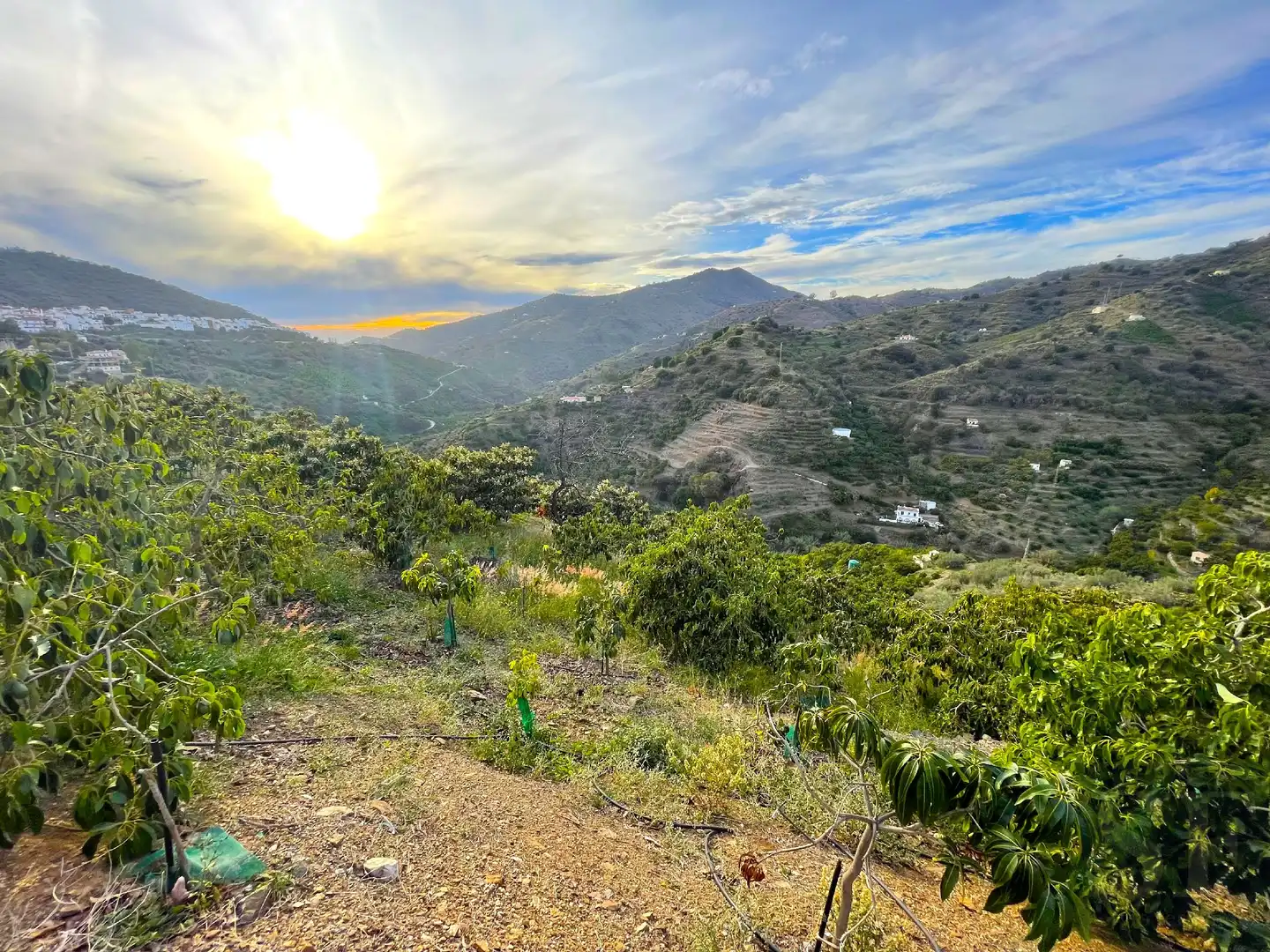 Casa rústica en venta en Sayalonga, imagen 11