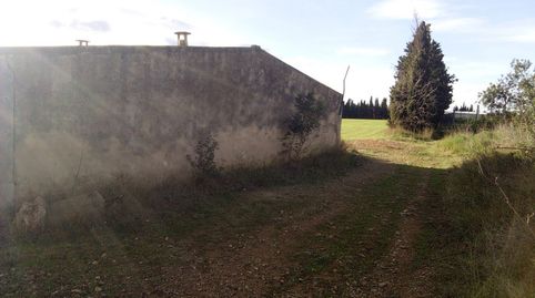 Foto 3 von Fabrikhallen zur Miete in Pr Partida Els Abeuradors, Ulldecona, Tarragona