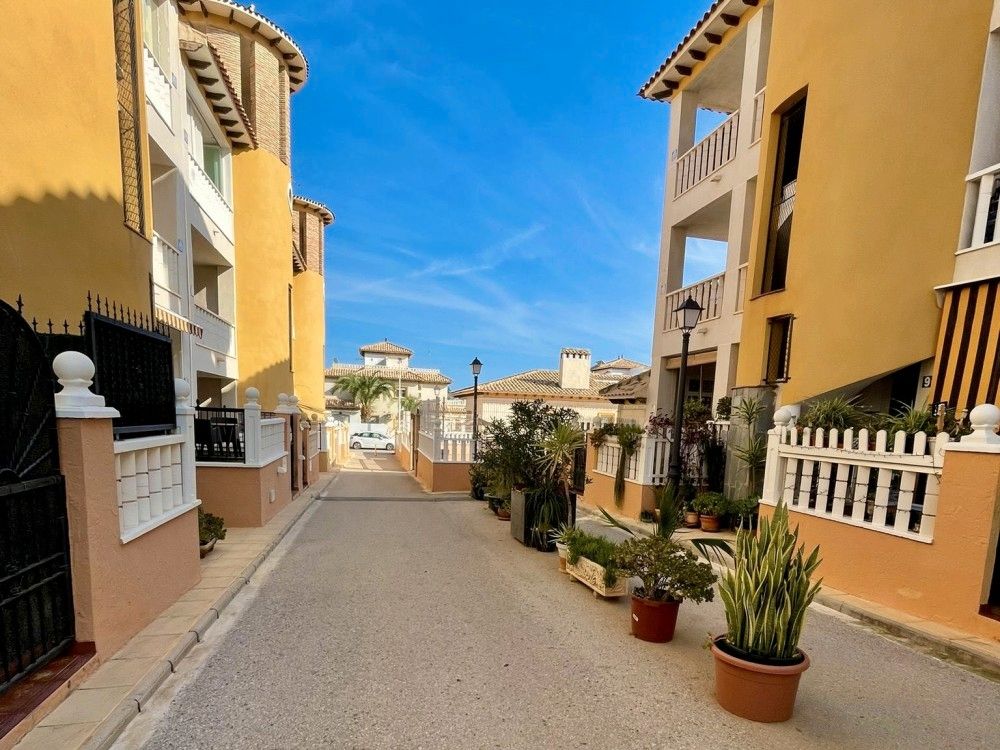 Vista exterior de Apartament en venda en Elche / Elx amb Aire condicionat, Terrassa i Moblat