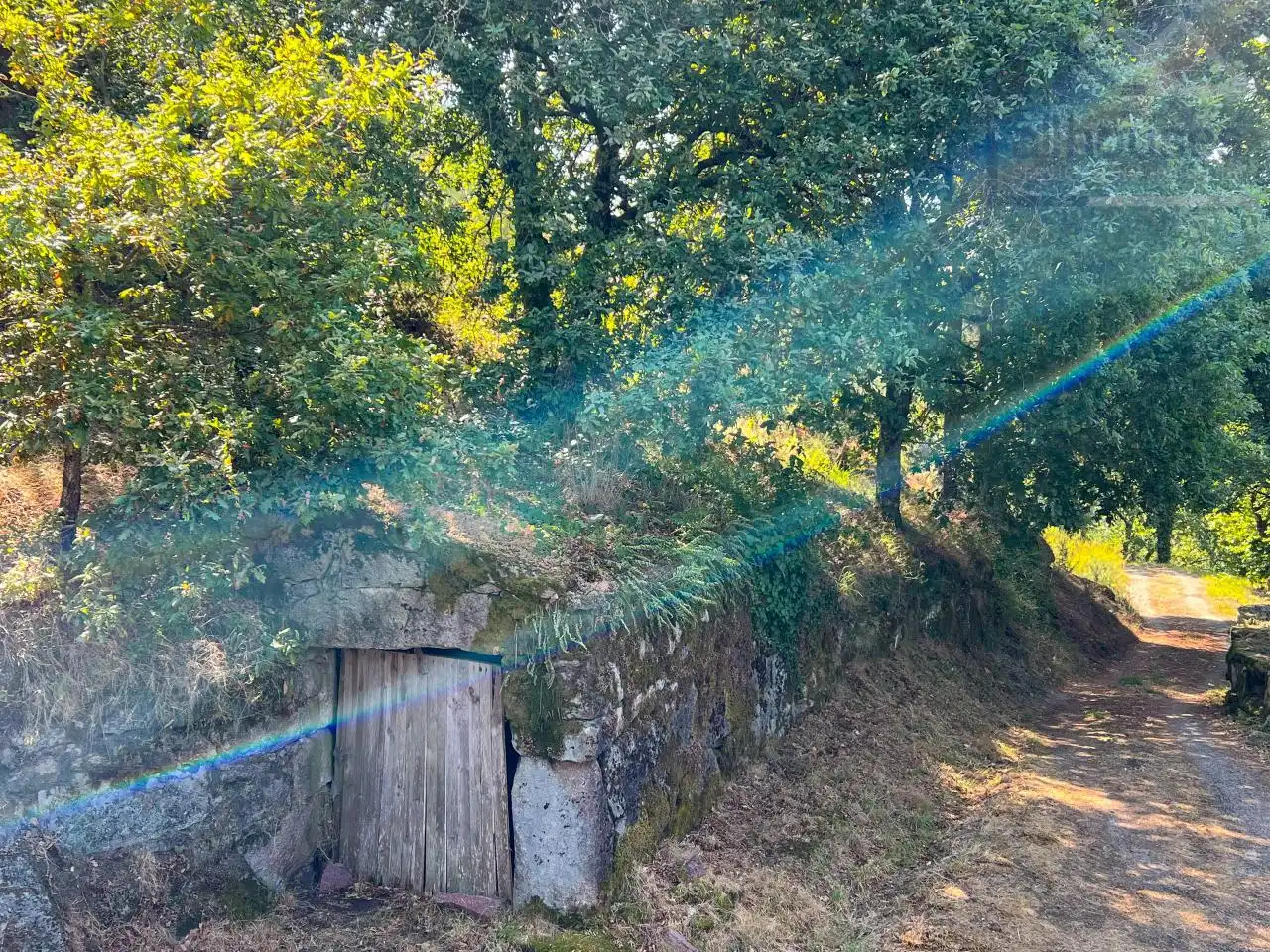 Casa rústica amb jardí en venda a Covelo, imagen 9