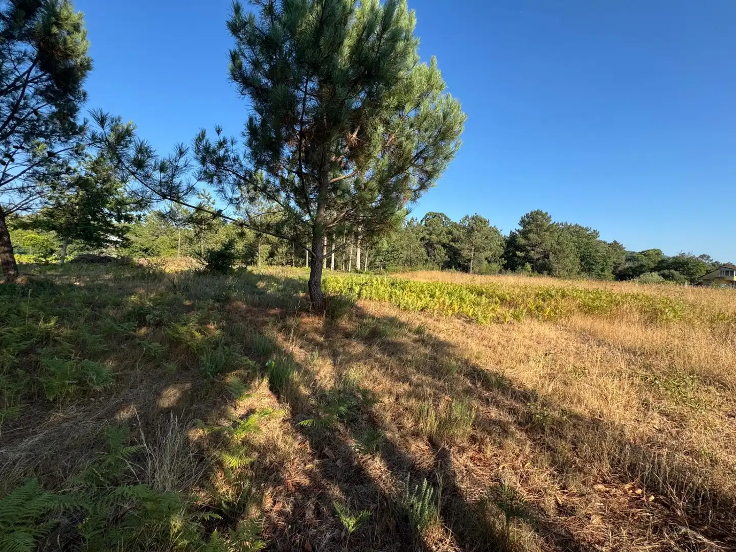 Terrenos y solares en venta en Lugar de Costeira, imagen 2