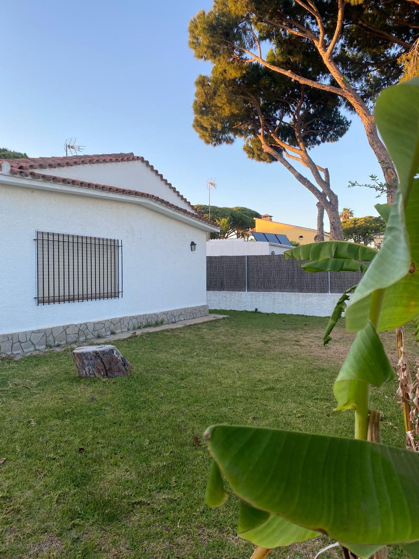 Garden of House or chalet to rent in El Puerto de Santa María  with Private garden and Terrace
