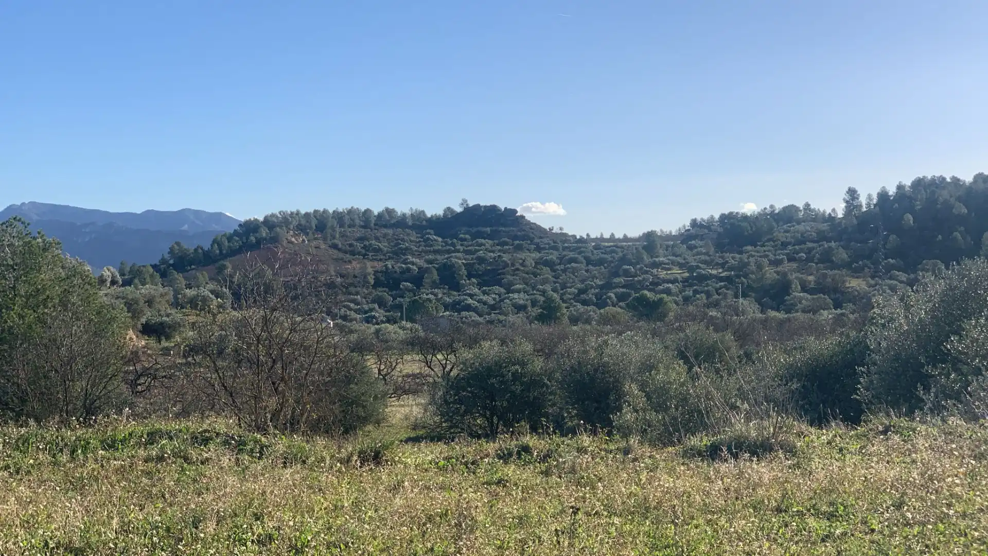 Terreno rustico in vendita a Ascó