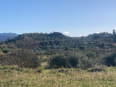 Terreno rustico in vendita a Ascó