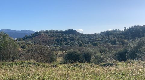 Asco - Parcela de terreno, media hectárea - buen acceso y bonitas vistas