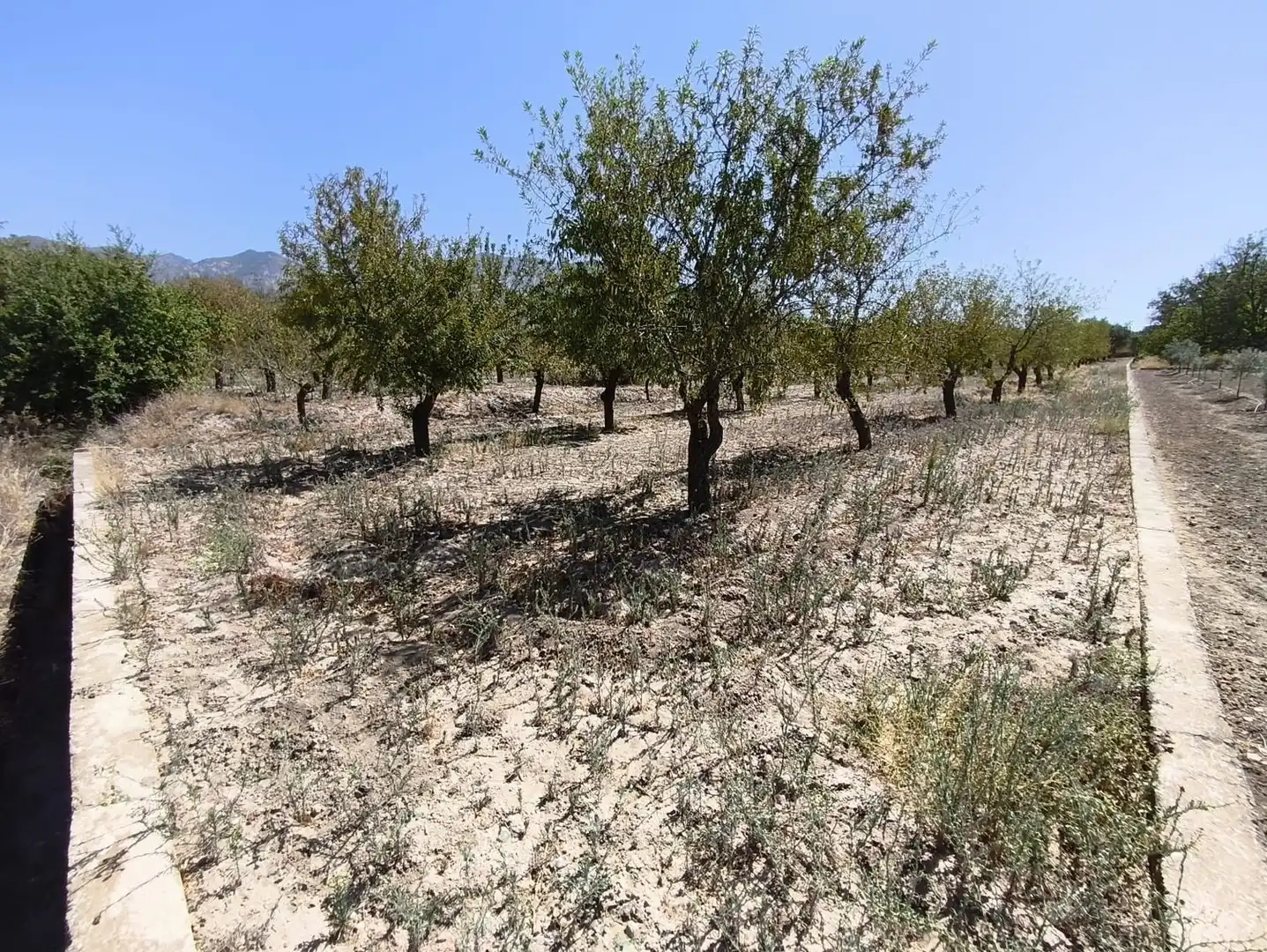Rural land for sale in 2C55+9GC Cozvijar 0, imagen 21