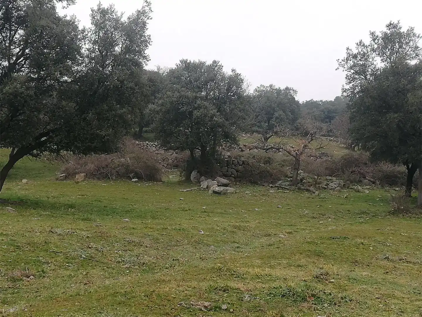 Terreno en venta en Bustarviejo