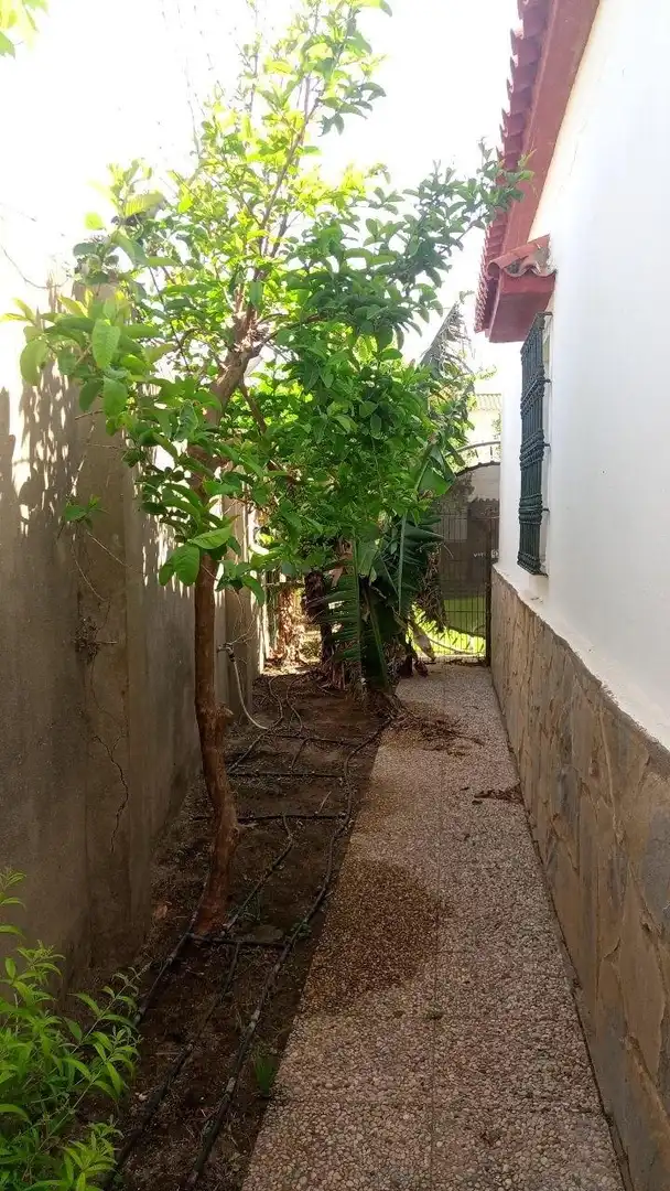 Chalet con piscina en venta en El Zabal - Santa Margarita, imagen 39