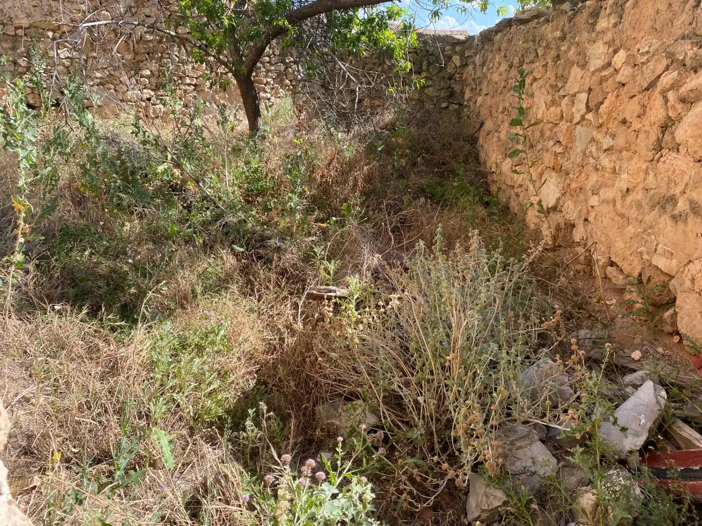 Country homes for sale in Bañón