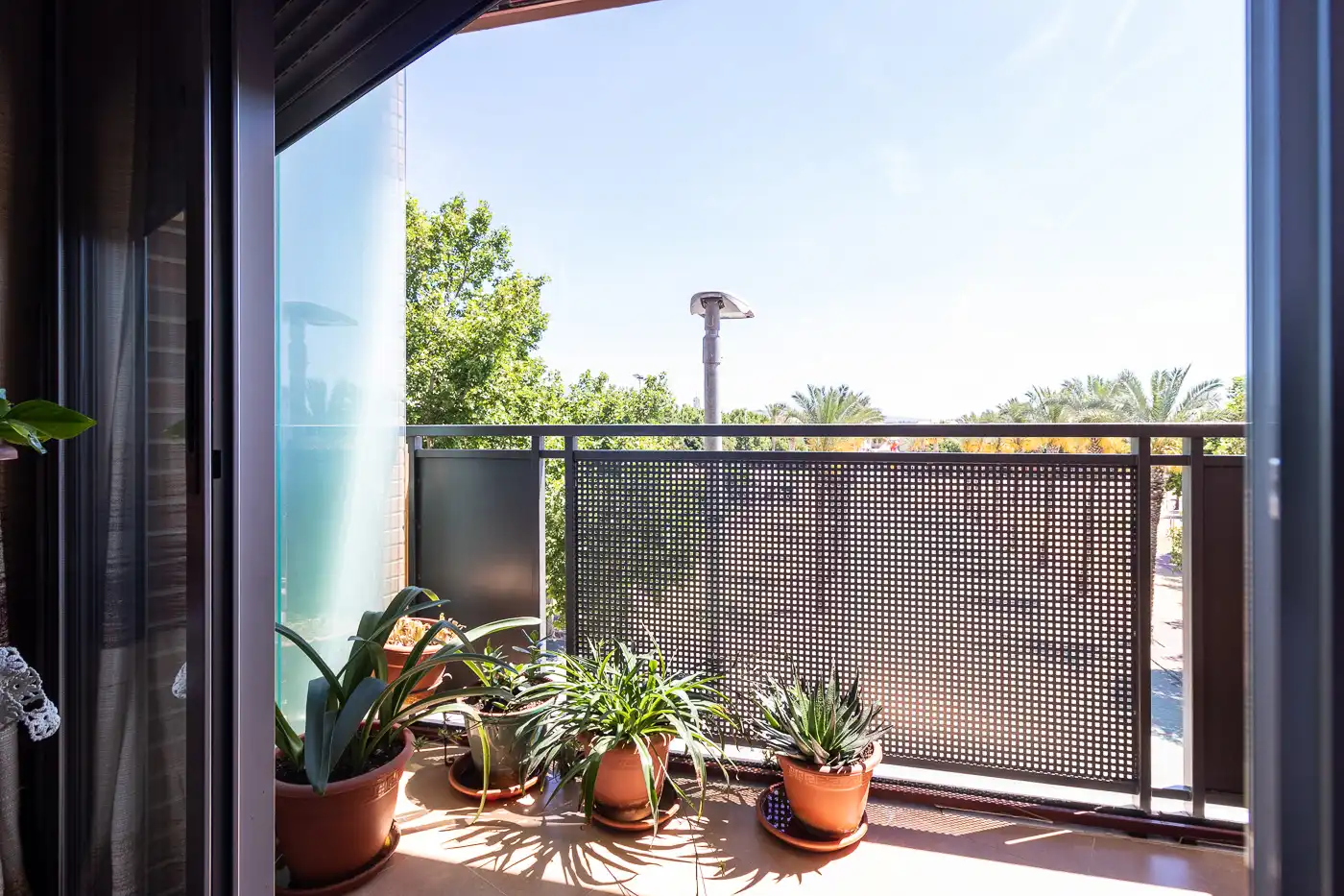 Terrassa de Apartament en venda en Mula