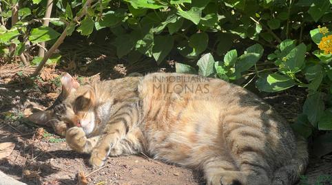 Foto 4 de Apartament en venda a Rincón Alto, Benidorm