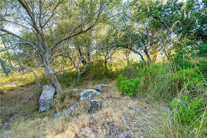 Terreno rustico in vendita a Nord, imagen 7