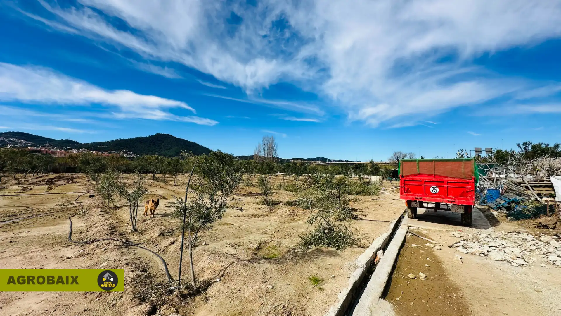 Land for sale in Sant Joan Despí