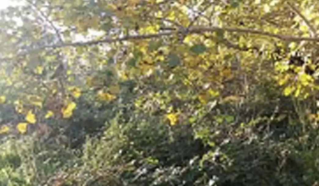 Wohnbaugrundstück zum Verkauf in Terrafortuna - Puig Ventós, imagen 3