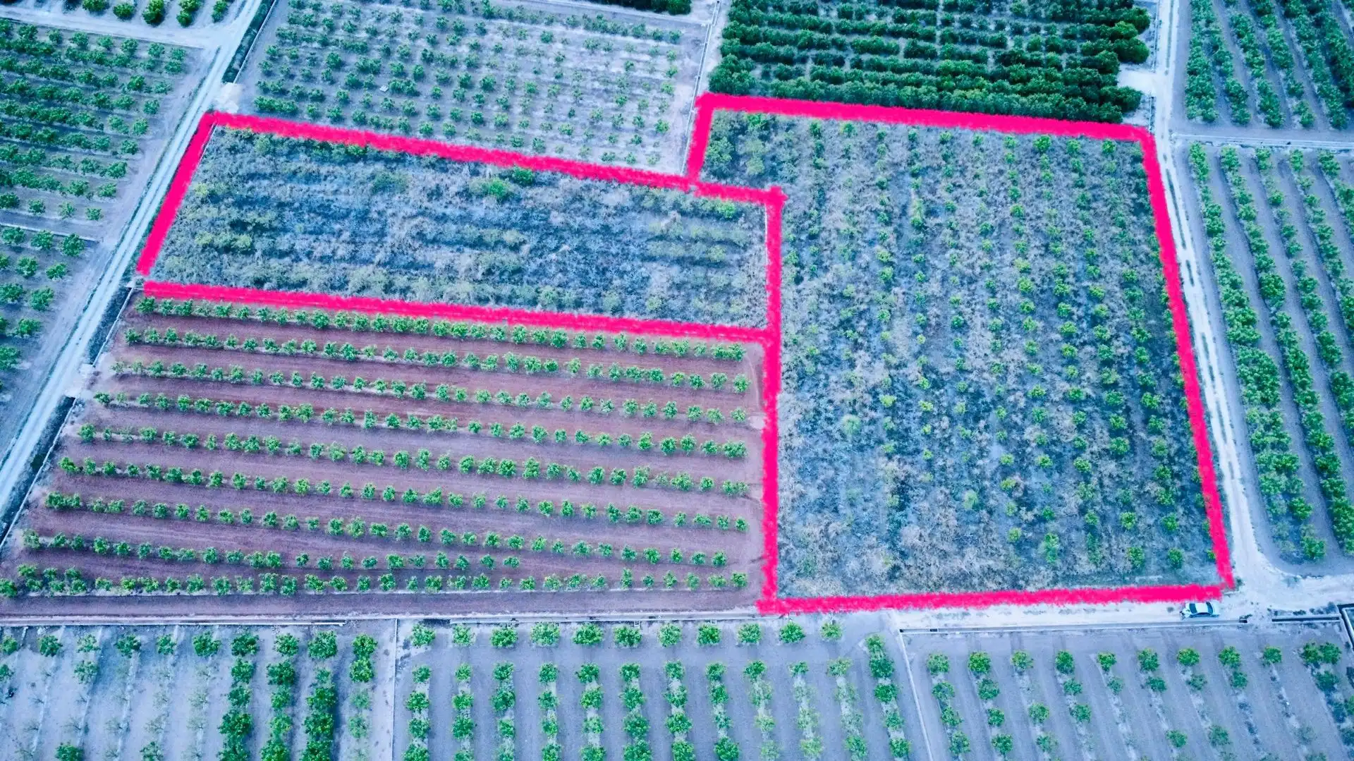 Terrenos y solares en venta en Polígono 10 Parcela 62, imagen 19