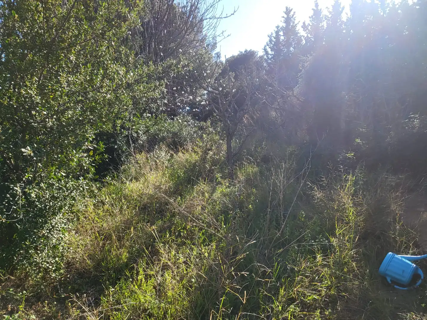 Xalet amb terrassa en venda a Camí de Mataró 21, imagen 30