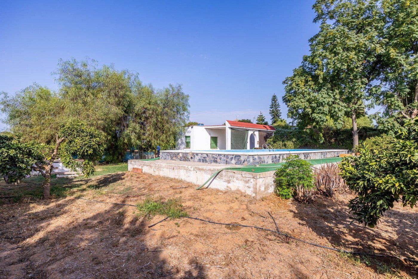Finca rústica en venda a Carretera Prado de la Torre, Bollullos de la Mitación