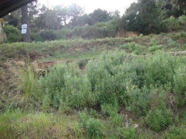 Wohnbaugrundstück zum Verkauf in Sant Cebrià de Vallalta