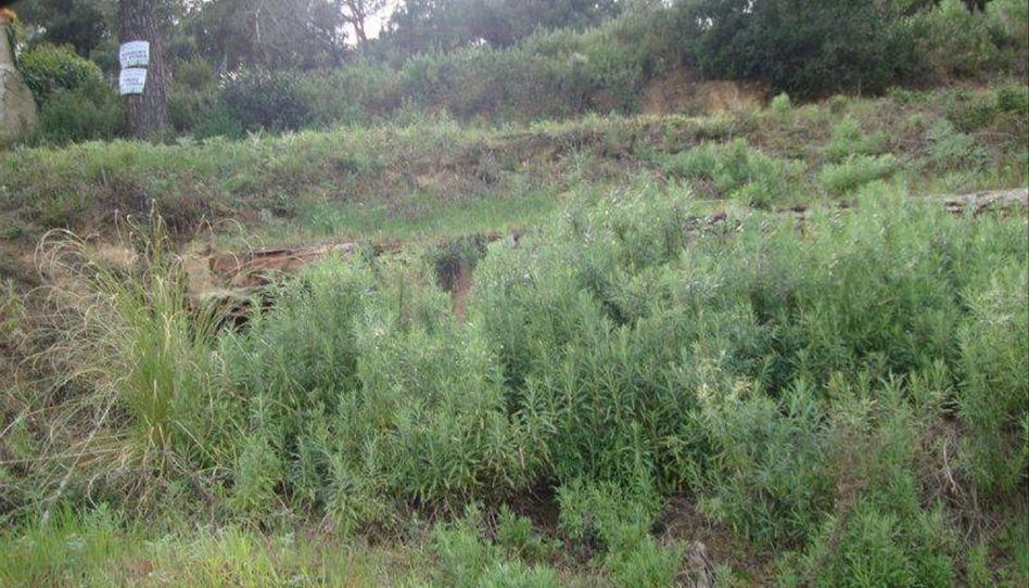 Foto 1 de Residencial en venda a Calle Centre, 137, Sant Cebrià de Vallalta, Barcelona