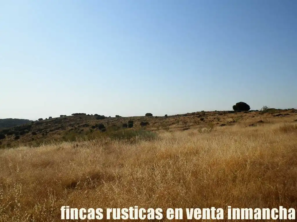 Terrenys i solars en venda a Almagro, imagen 18