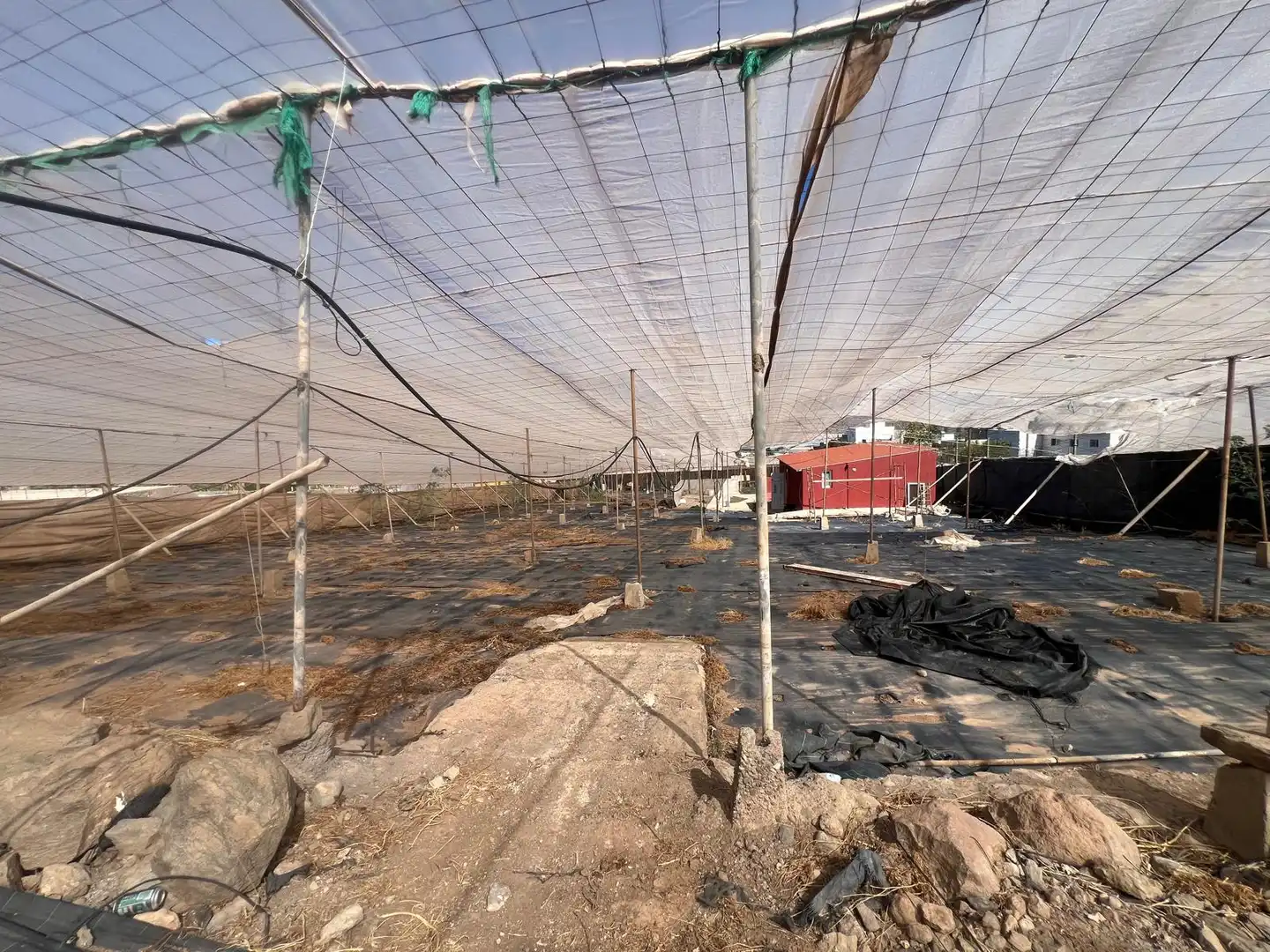 Terreno en venta en La Aldea de San Nicolás 