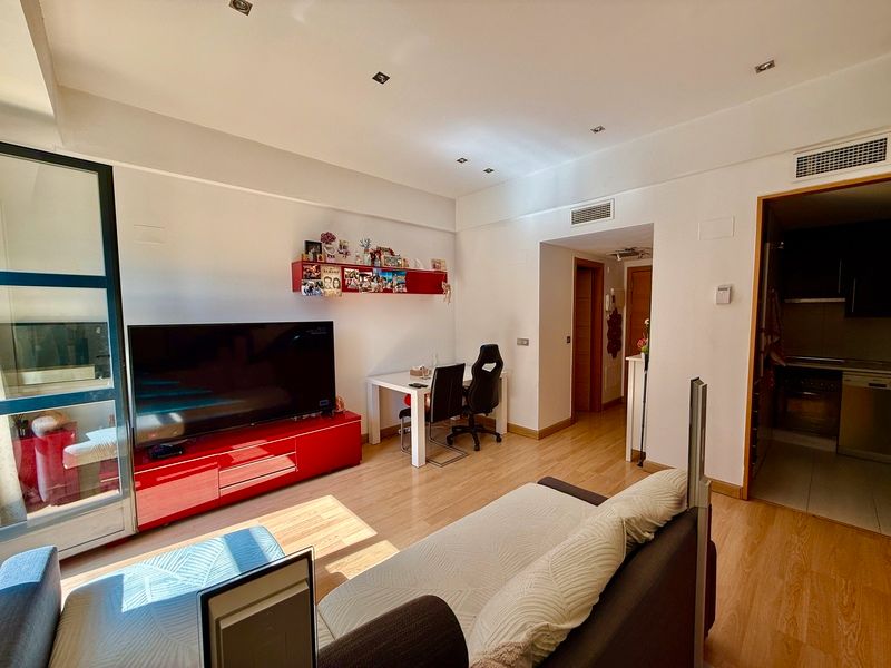 Living room of Flat for sale in  Madrid Capital  with Air Conditioner, Heating and Private garden