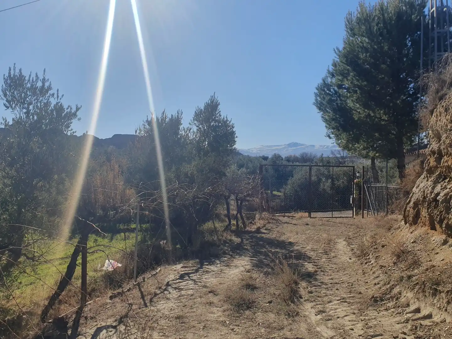 Terreni e lotti in vendita a Guadix, imagen 3