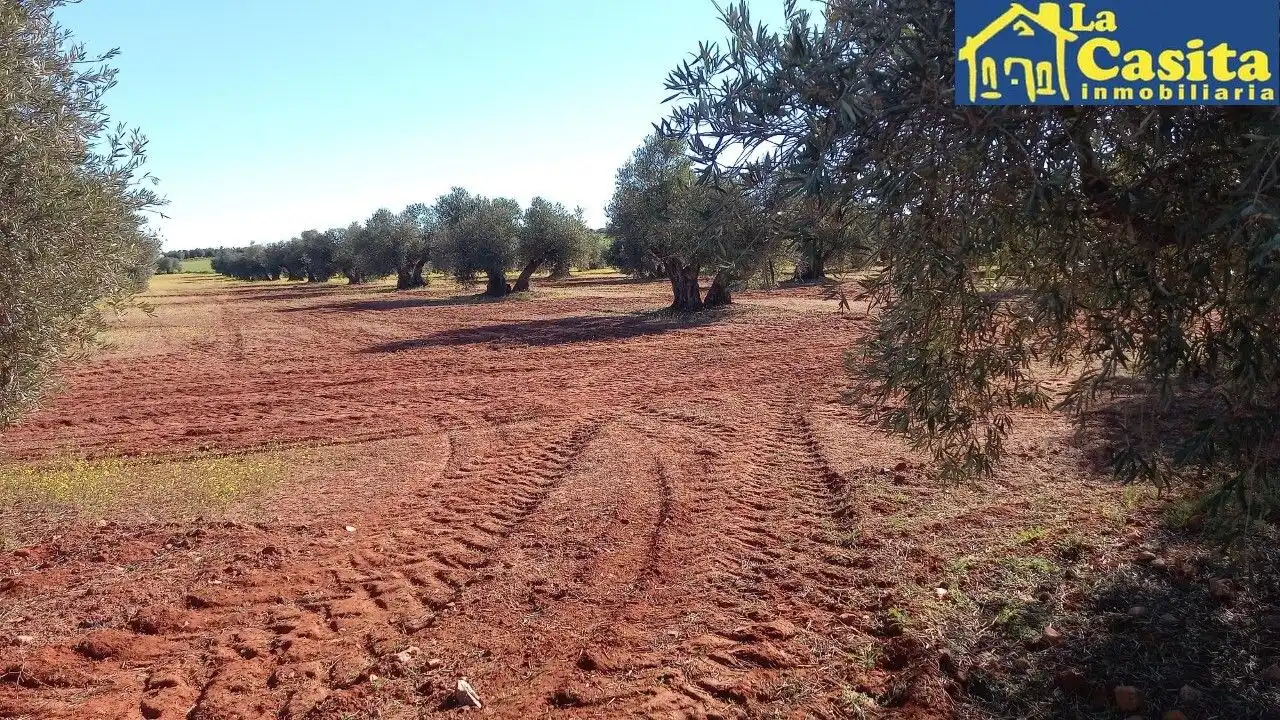 Terrenys i solars en venda a Almagro, imagen 6