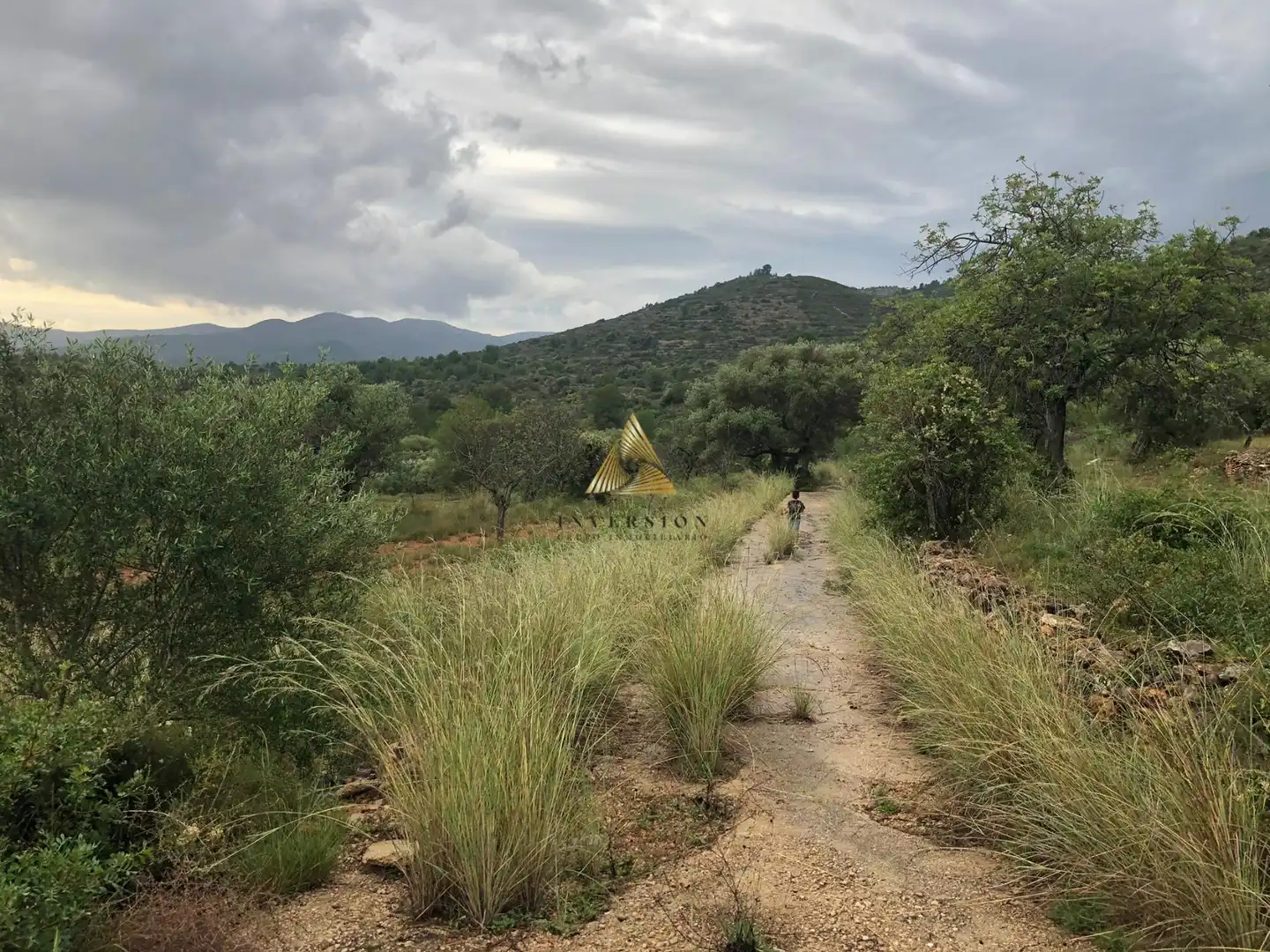 Lands and plots for sale in Las Atalayas - Urmi - Cerro de Mar, imagen 16