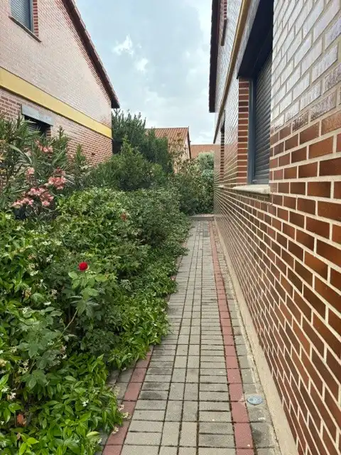 Garden of Detached homes for sale in Renedo de Esgueva  with Heating, Private garden and Terrace