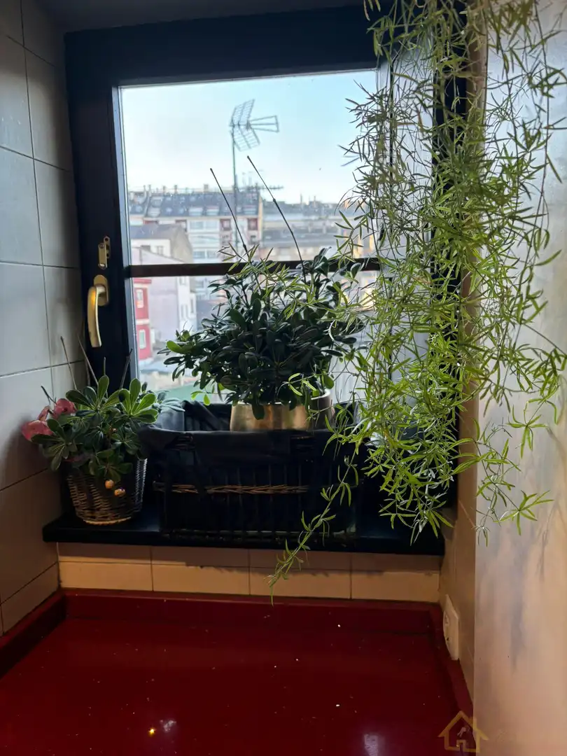 Terraza de Casa o chalet en venta en Ribadeo con Calefacción, Trastero y Amueblado