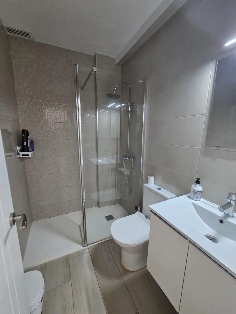 Wohnung zur Miete in Centro ciudad