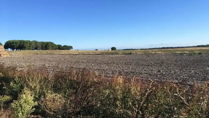 Rustikales Grundstück zum Verkauf in La Zarza (Valladolid), imagen 6