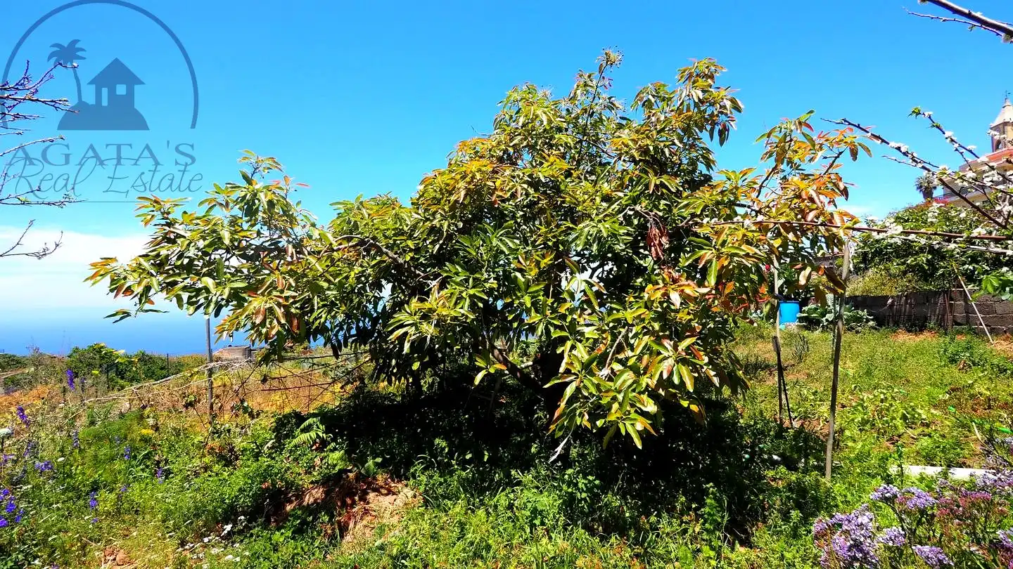 Casa o xalet en venda en La Guancha amb Jardí privat i Moblat