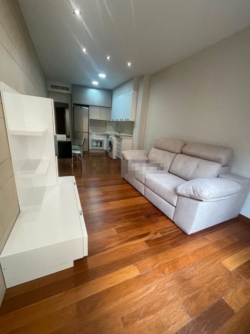 Living room of Study to rent in Elche / Elx  with Air Conditioner, Heating and Furnished