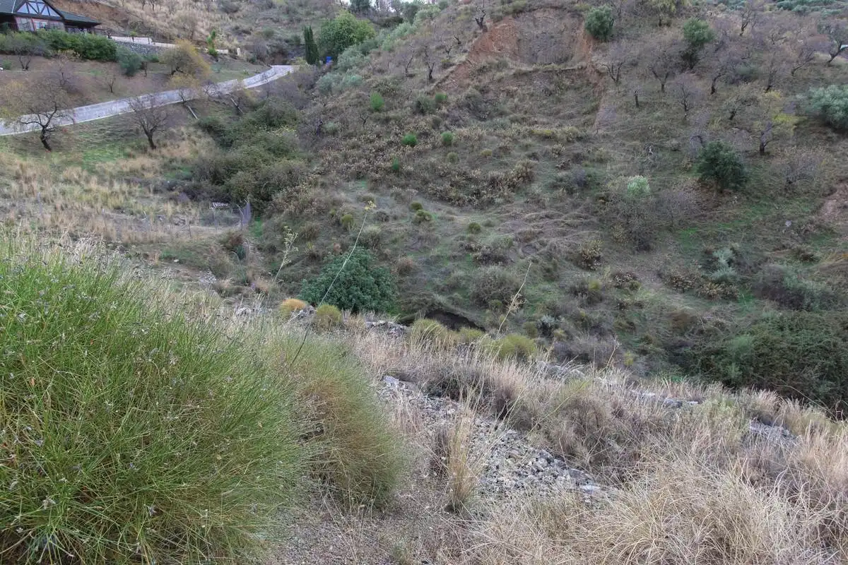Terreno rustico in vendita a Monda, imagen 8