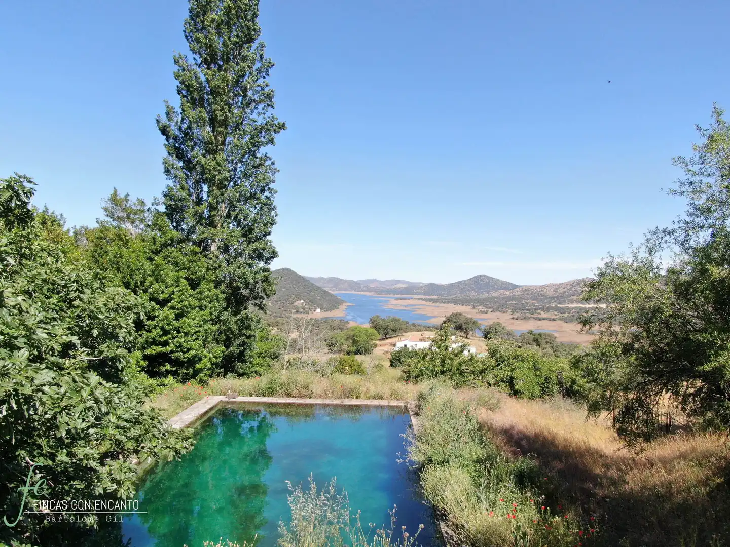 Swimming pool of Country homes for sale in Cazalla de la Sierra  with Swimming Pool