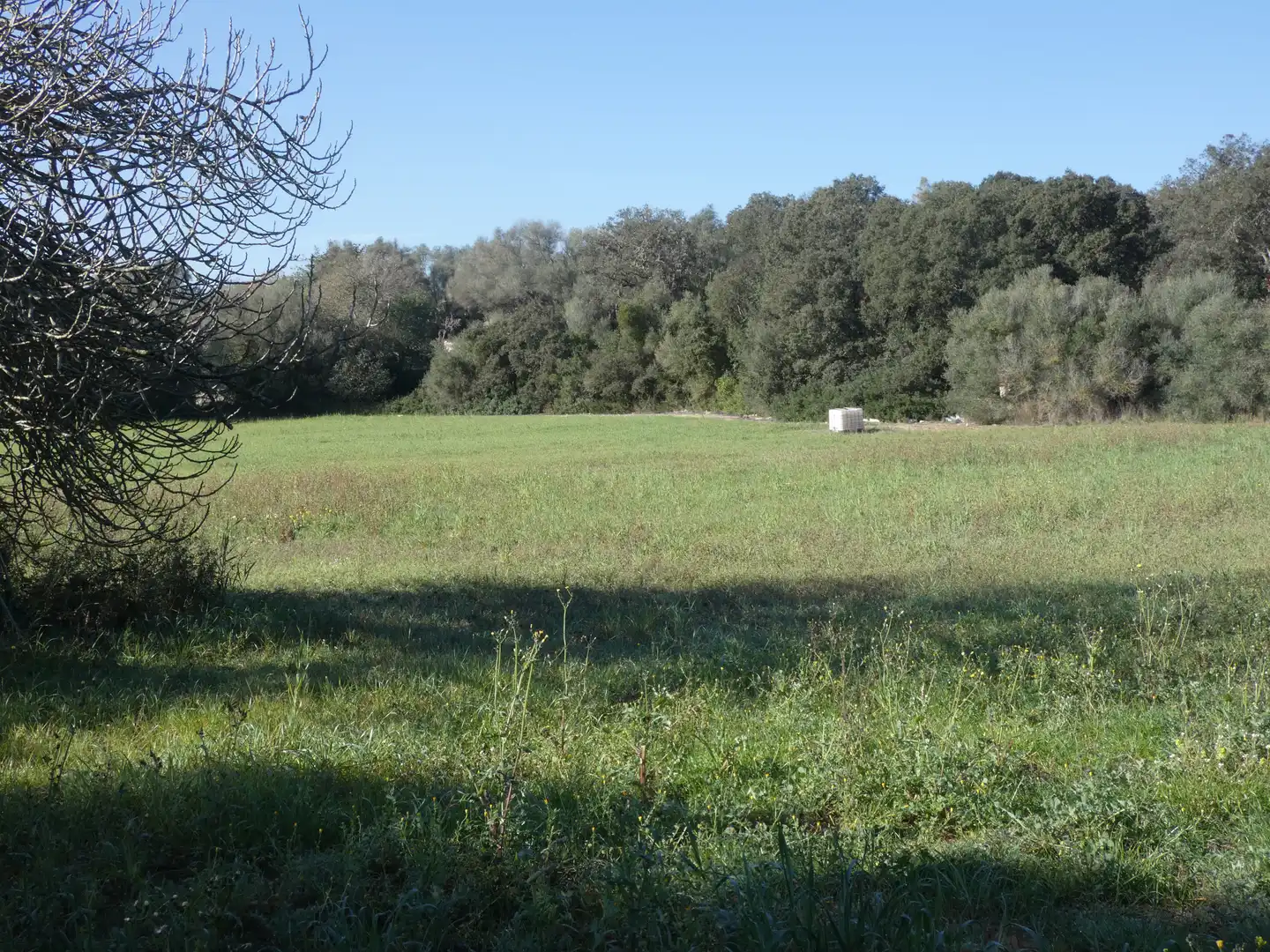 Residential land for sale in Sineu, imagen 3