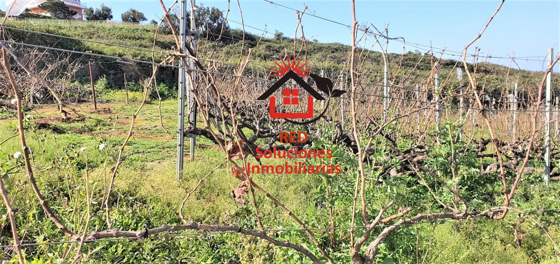 Terreny rústic en venda a Los Corraletes, imagen 11