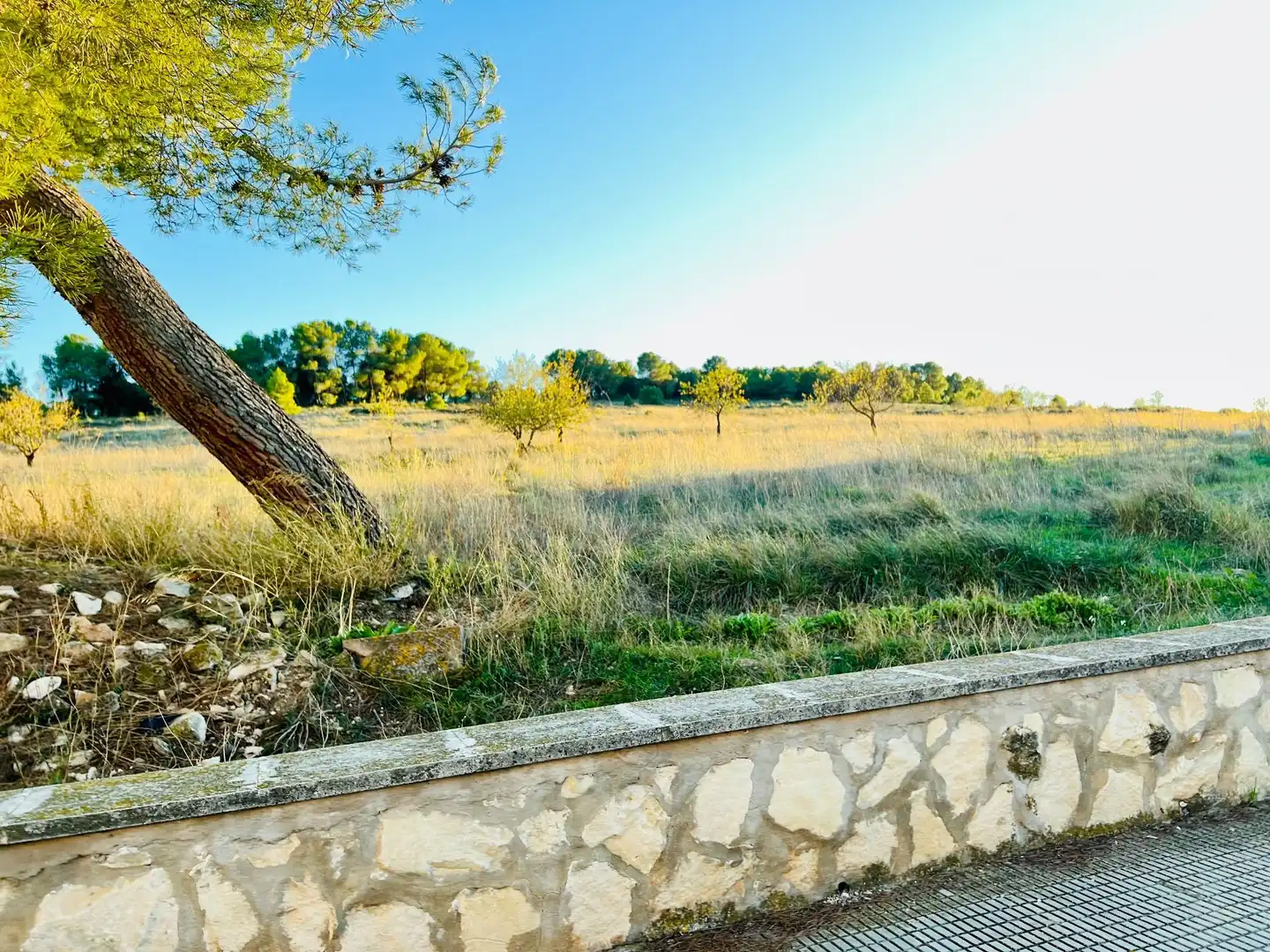 Country house zum Verkauf in Campo de Mirra / El Camp de Mirra mit Privatgarten und Abstellraum
