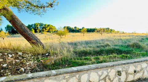 Foto 3 de Finca rústica en venda a Campo de Mirra / El Camp de Mirra, Alicante