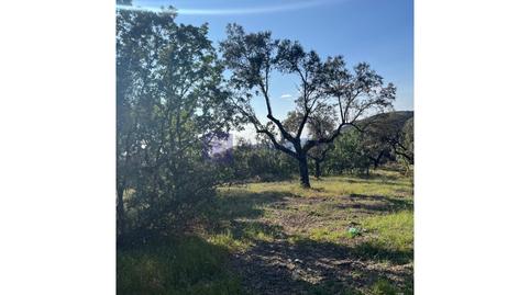 Foto 2 de Casa o xalet en venda a Herguijuela, Cáceres