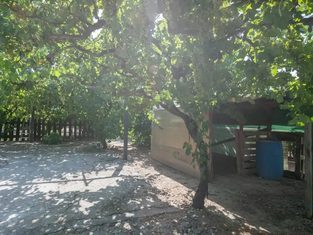 Xalet amb terrassa en venda a Cam. Viejo del Casar, imagen 20