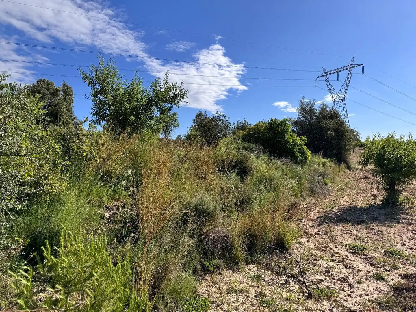 Land for sale in Polígono 26 Parcela 21 CASA BLANCA-BARBETA. TORRE, 26, Poligono Mas del Jutge