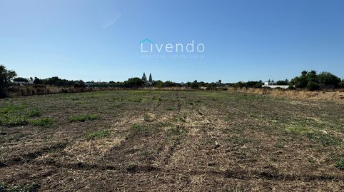 Parcela en venta en el Palmar, imatge 3