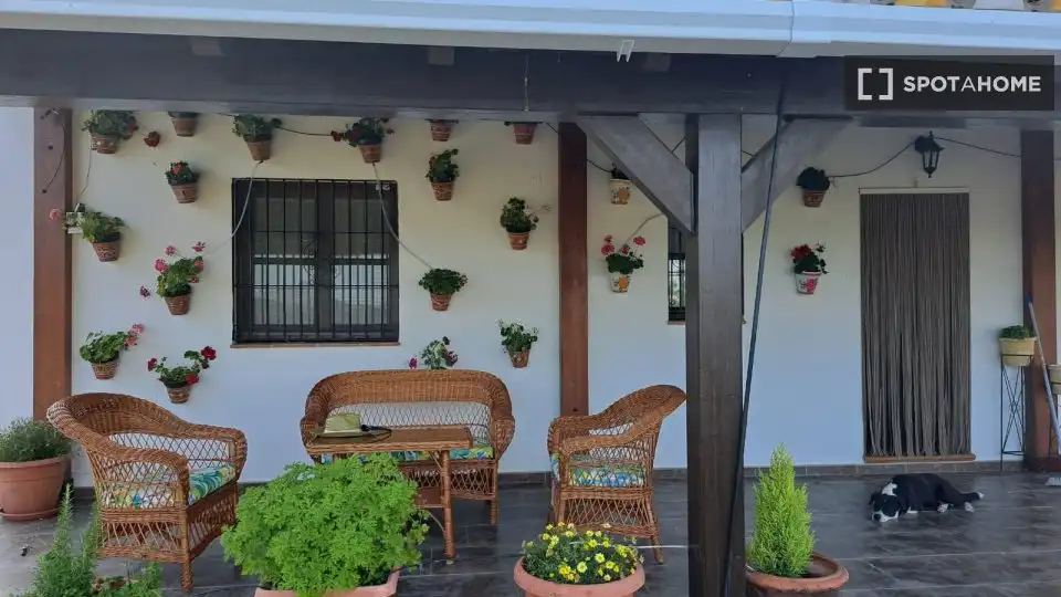 Room in Alozaina
